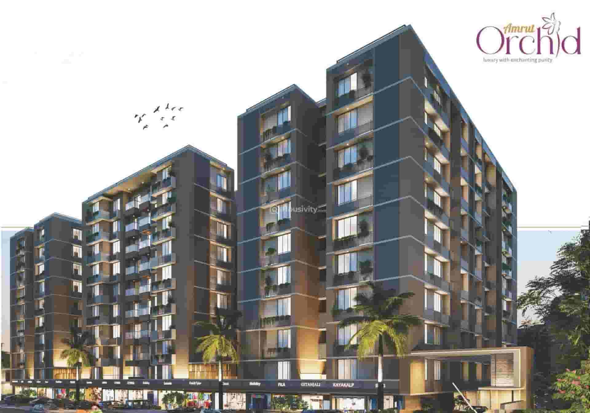 Amrut Orchid Thumbnail