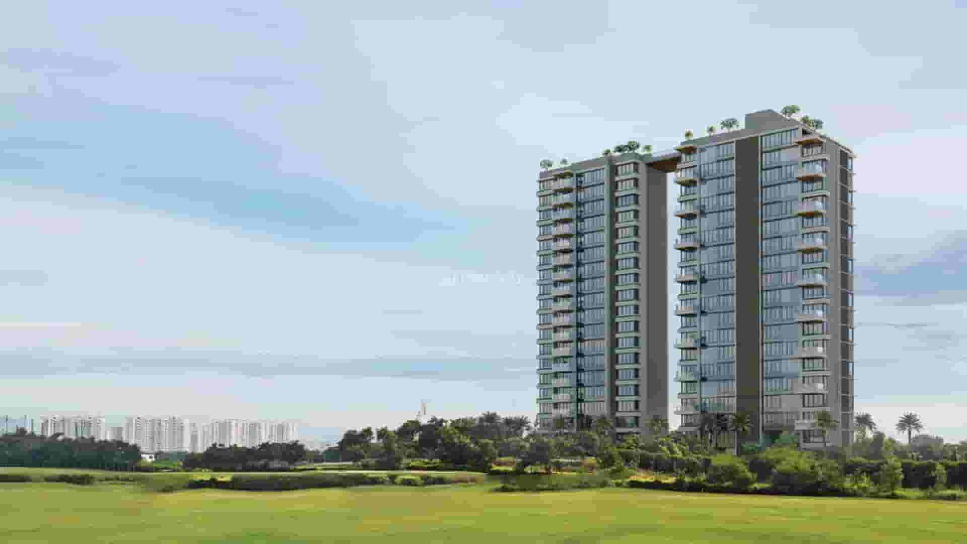 The Storeys Thumbnail
